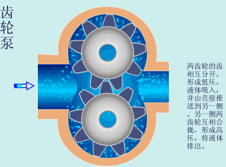 齿轮泵工作原理图