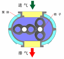 罗茨真空泵工作原理图