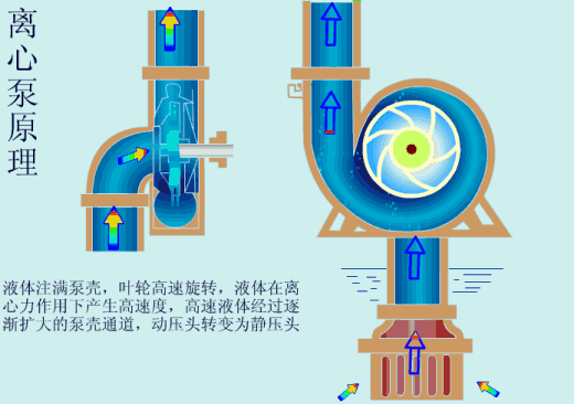 离心泵工作原理图
