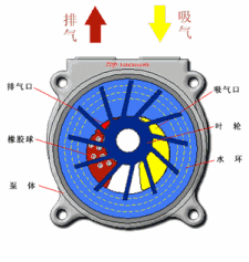 水环式真空泵